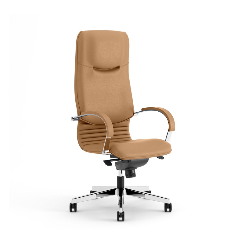 Image of Nowy Styl Nova leather executive chair with fixed armrests, Beige/Chrome-plated, New, Ergonomic chair - ideal for flexible working