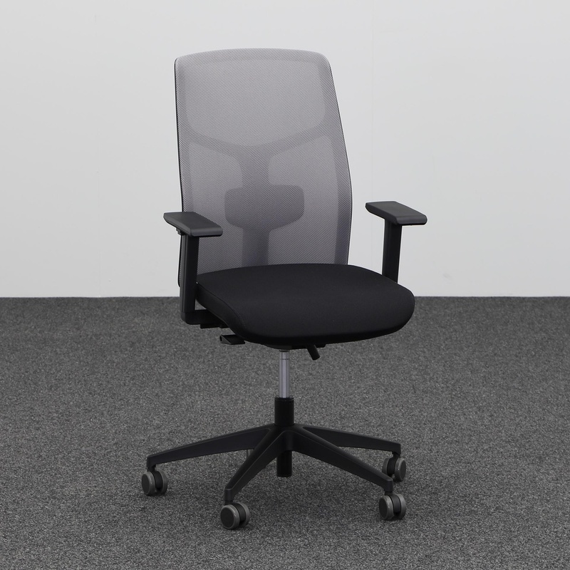 Image of Office swivel chair Steifensand Eserio with 2D armrests, Gray, New, Ergonomic chair - ideal for flexible working