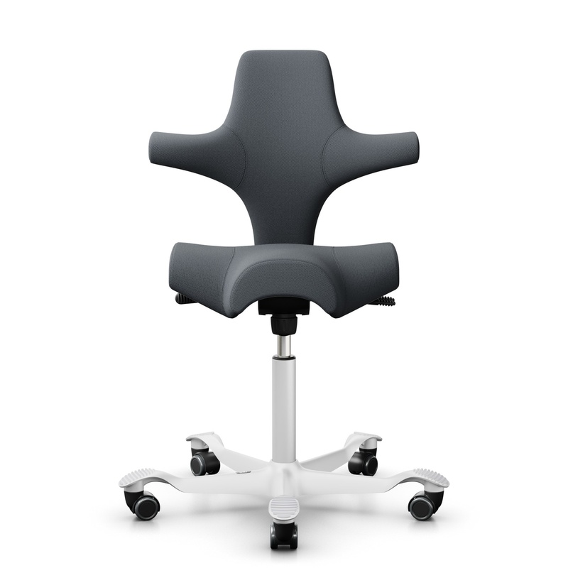 Image of Saddle chair HAG Capisco 8106 without armrests, Gray/White, New, Ergonomic chair - ideal for flexible working