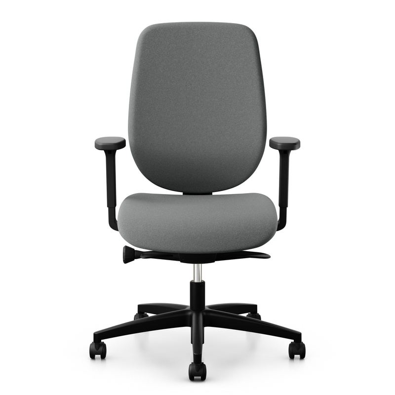 Image of Office swivel chair Giroflex 353-4529 with 2D armrests, Gray/Black, New, Ergonomic chair - ideal for flexible working