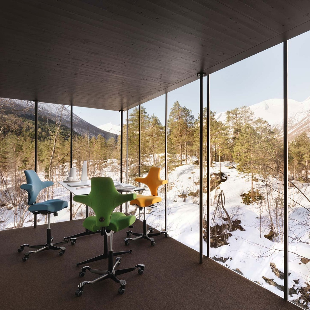 Sattelstuhl HAG Capisco 8106