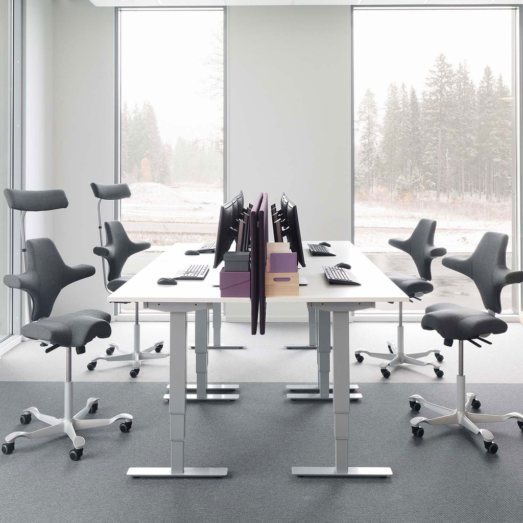 Sattelstuhl HAG Capisco 8106