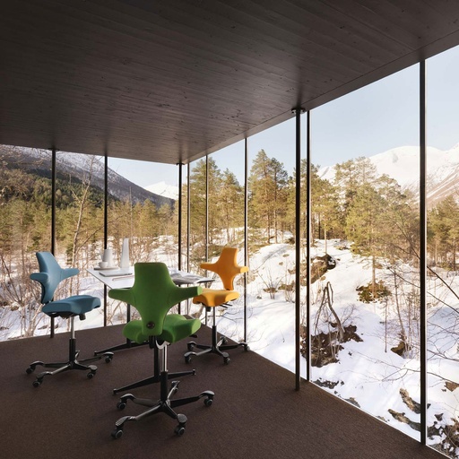 Sattelstuhl HAG Capisco 8106