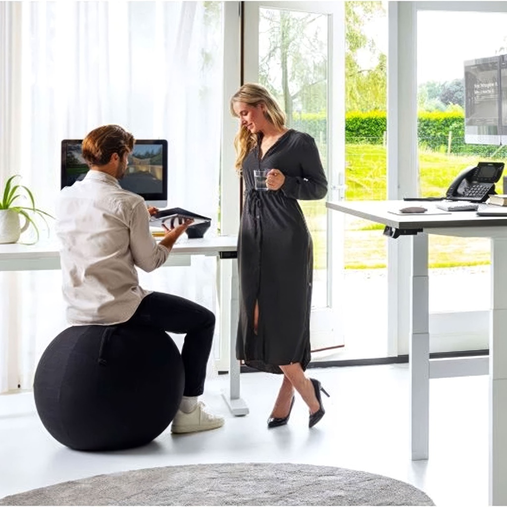 Büro Sitzball Aoke Ergo Ball