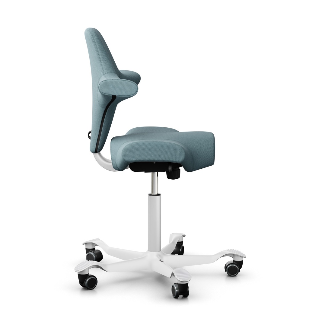 Bürodrehstühle HAG Capisco 8106+