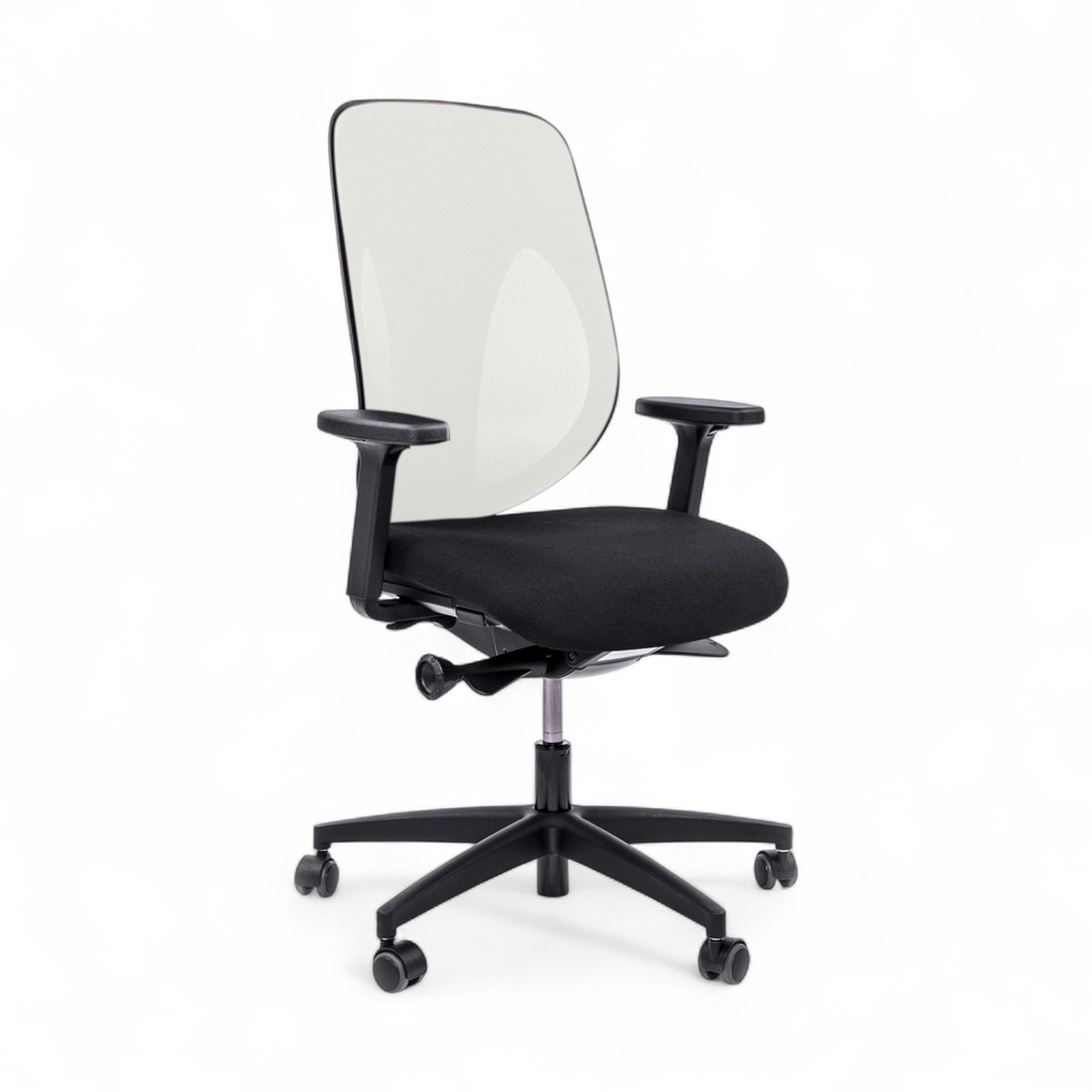 Buy Giroflex 353 White Chair with 2D Armrests Online