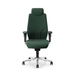 Giroflex 64-9778 executive chair (Dark green, Chrome-plated)