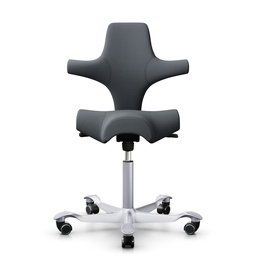 Sattelstuhl HAG Capisco 8106 (Neu, Grau, Silbergrau)