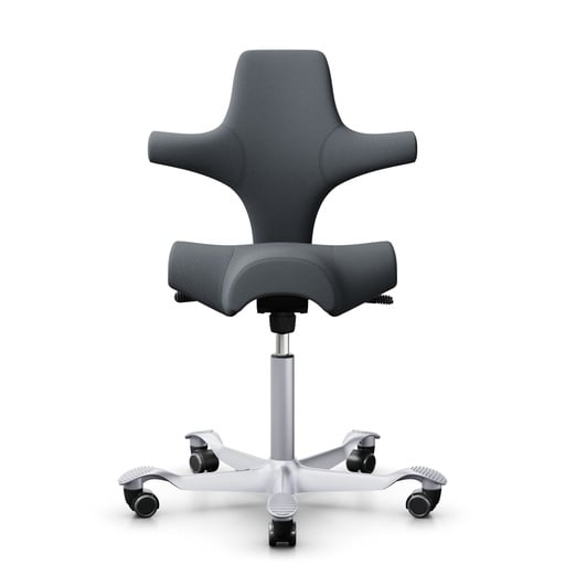 Sattelstuhl HAG Capisco 8106 (Grau, Neu, Silbergrau)